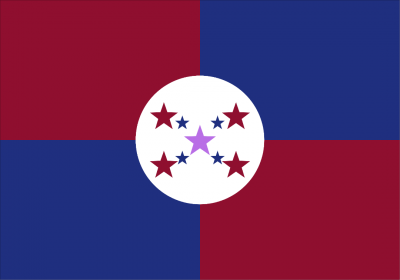 스타디아의 공식 국기